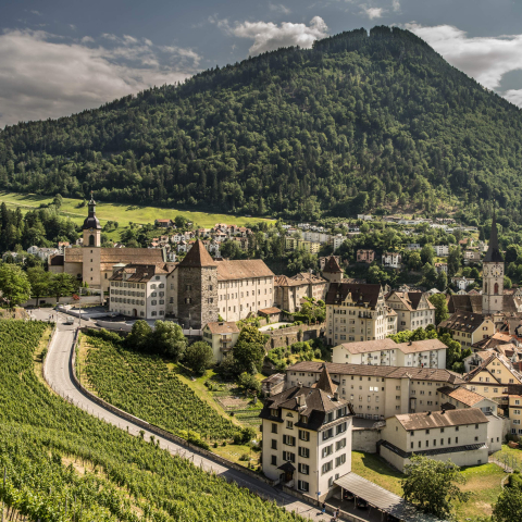 Altstadt Panorama mit Brambrüesch
